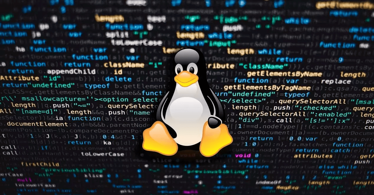 Comenzile Linux pe care le folosesc zilnic ca developer PHP